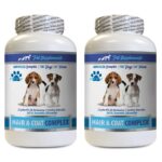 healthy coat for dogs food – Dogs Hair And Coat Complex – Advanced Skin Health – Nail Benefits – dogs vitamins for hair 2B